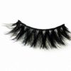 Aster Mink Lashes Avaná Beauty