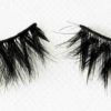 Aster Mink Lashes Avaná Beauty